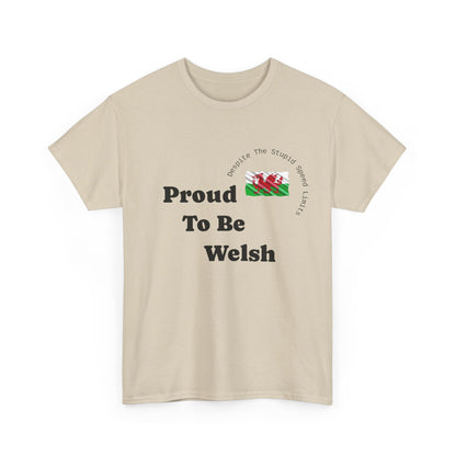 Raise The Colours - Welsh T-Shirt