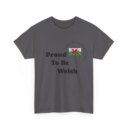 Raise The Colours - Welsh T-Shirt