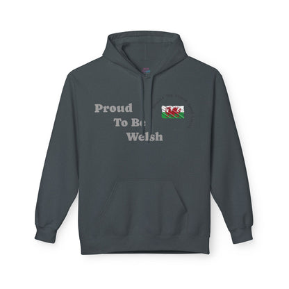 Proud To Be Welsh Hoodie — Welsh Flag Pullover